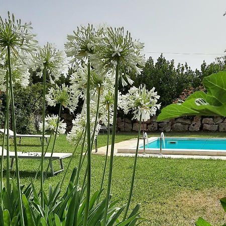 B&B Masseria Sant'Angelo Antonelli Exterior foto